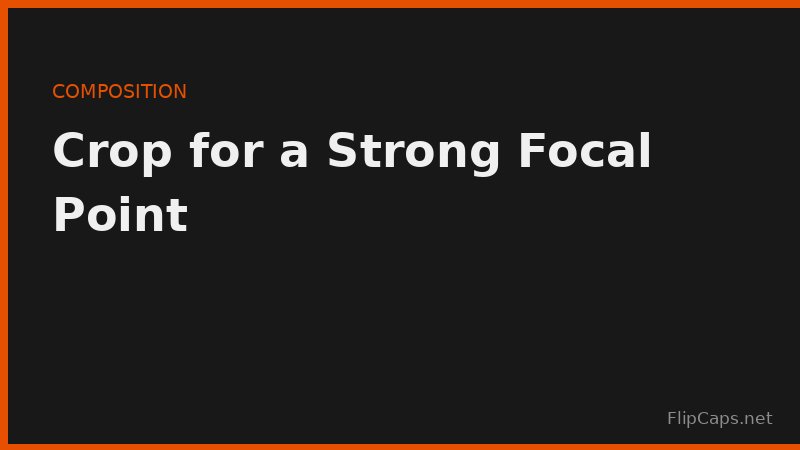 Cropping an image for a strong focal point and better thumbnail composition