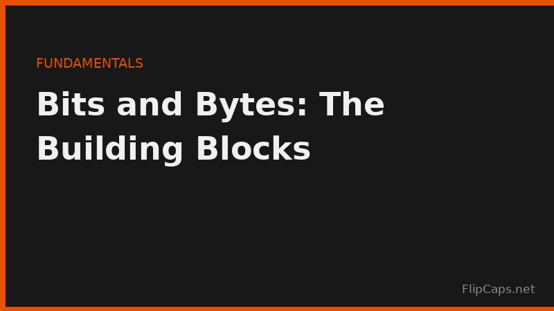 Diagram-style illustration showing bits grouping into bytes as the building blocks of digital storage